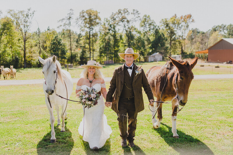 wedding couple with horses in alabama