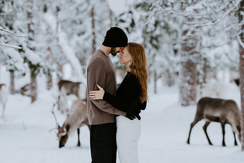 Couple proposed in Akaslompolo, Finalnd, now having engagement amongst wild reindeer - Shawna Rae wedding and elopement photographer