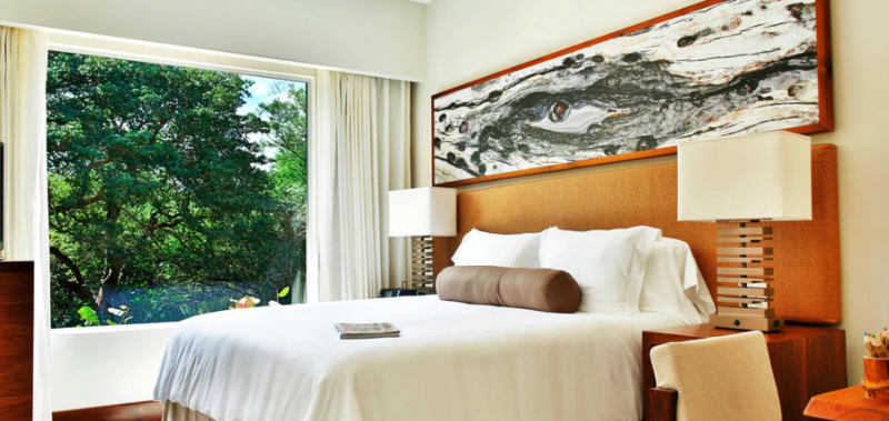 Bark Suite Resort View
