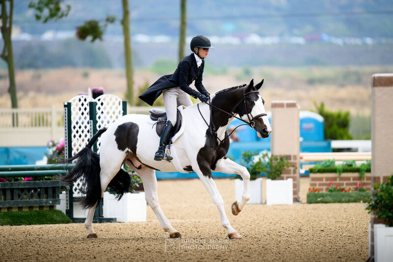 CHEROKEESHOWHORSES-2024DELMAR-SUNSHINECLASSIC-FRI-0692