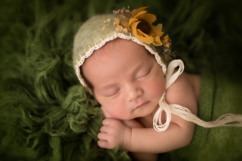 Northern VA Newborn session