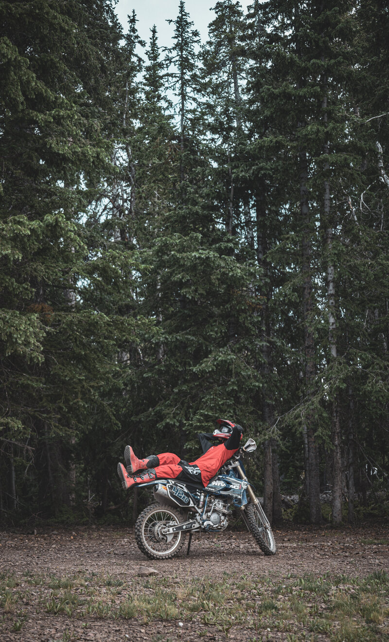 Beaver-34