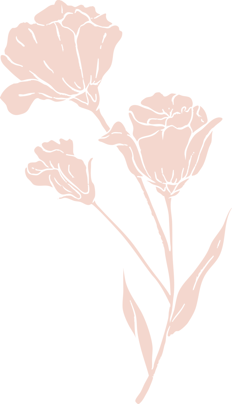 Pale pink branded icon of a stem of roses