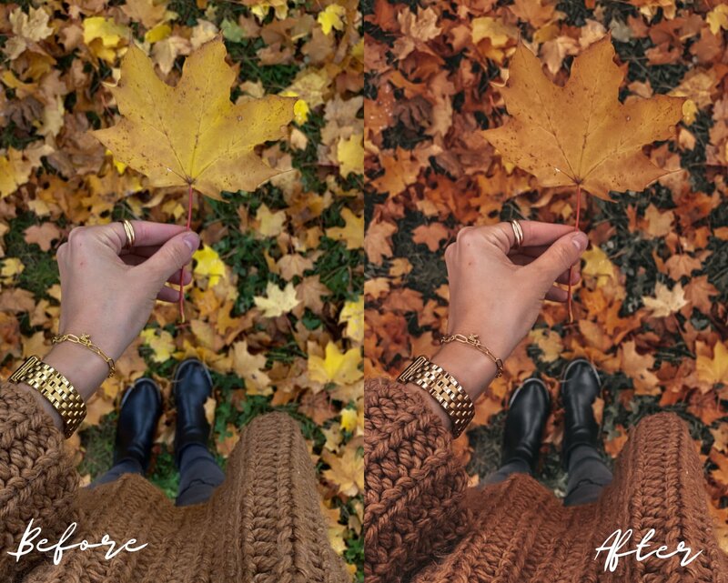Before_and_After_2_Moody_Autumn