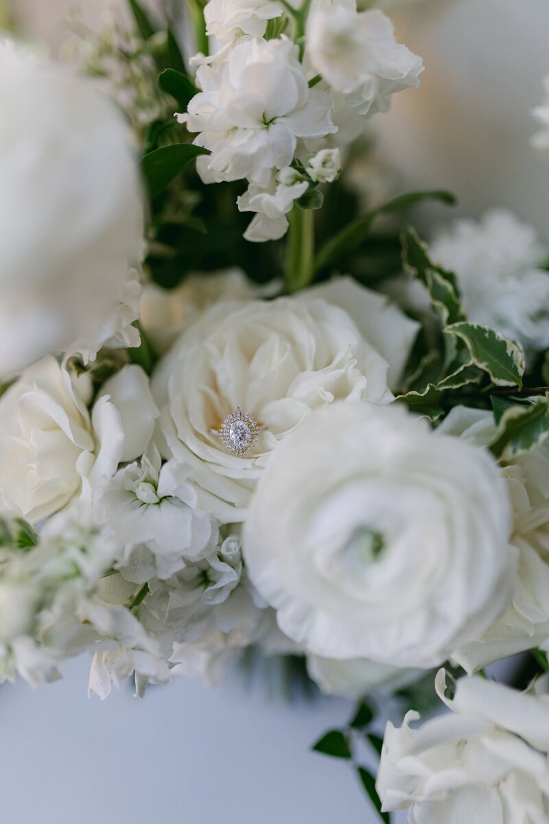 Mountain Elopement