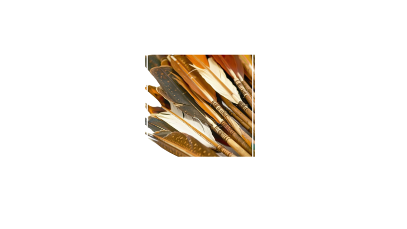 Feathers Design Element in Brave Star Showit Template for Coaching