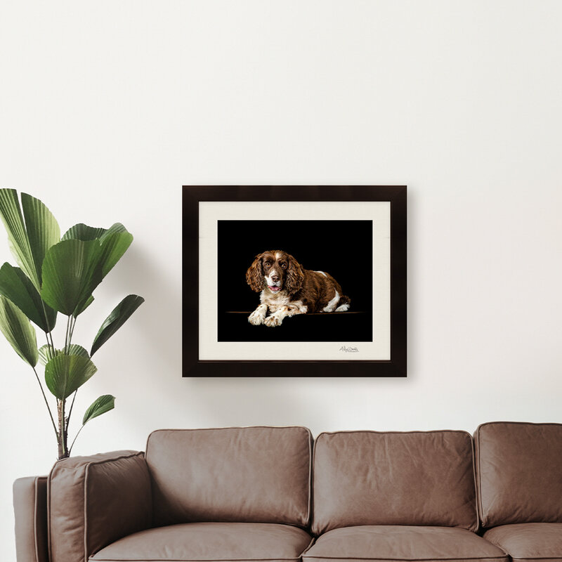 A Traditional Wall Frame showing a print of a Springer Spaniel hanging over a brown leather couch.