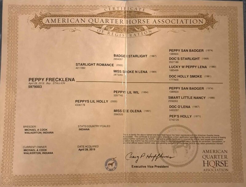 e7b644403dd753c78df79611801d1225