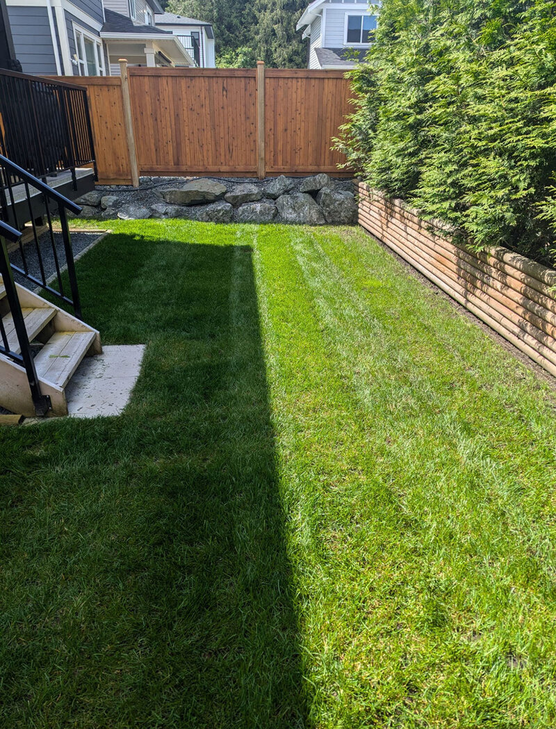 Chilliwack-Air-Bnb-Backyard