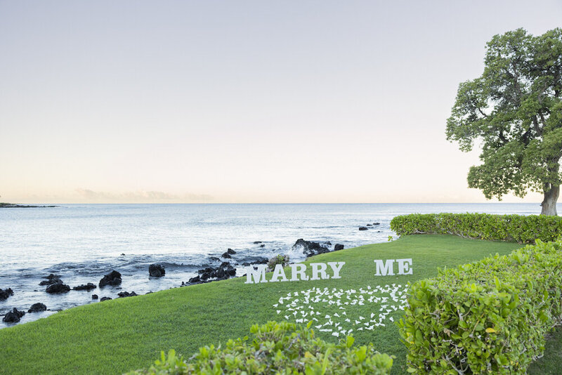Maui Proposal Package 3