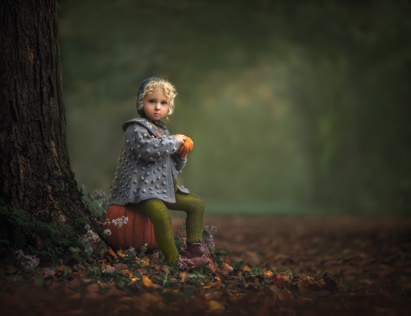  "Children photographed in a forest filled with autumn leaves, capturing the essence of fall in a natural portrait session in Ottawa."
