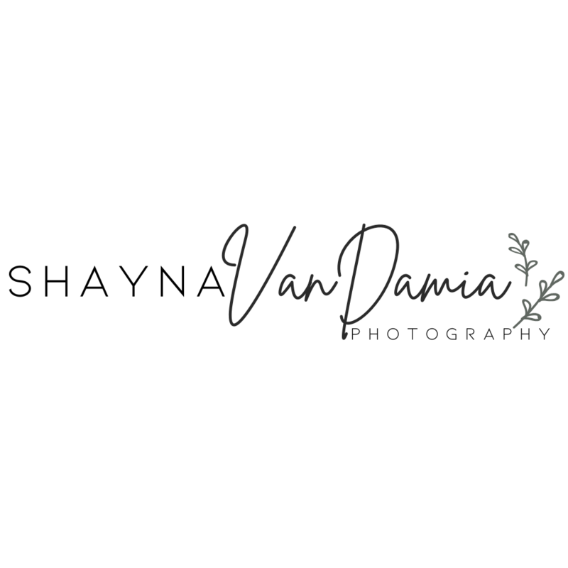 Pittsburgh Maternity Photographer