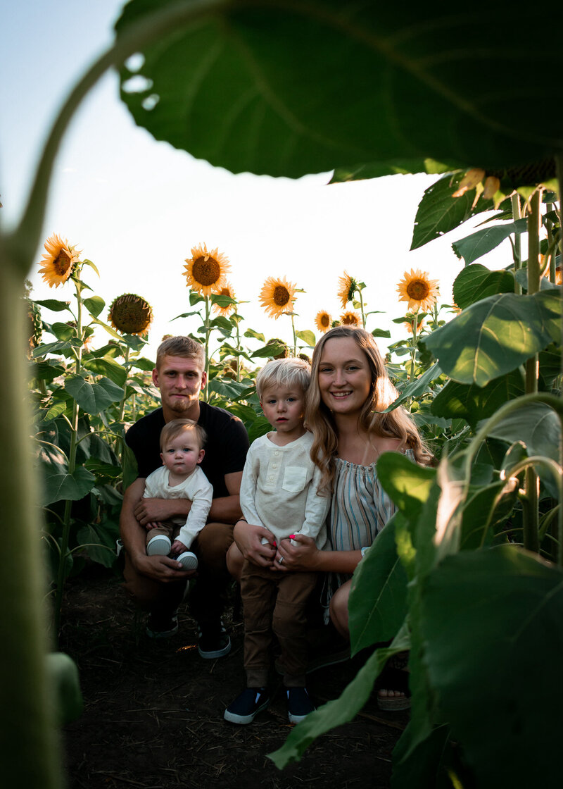 sunflower family portrait
