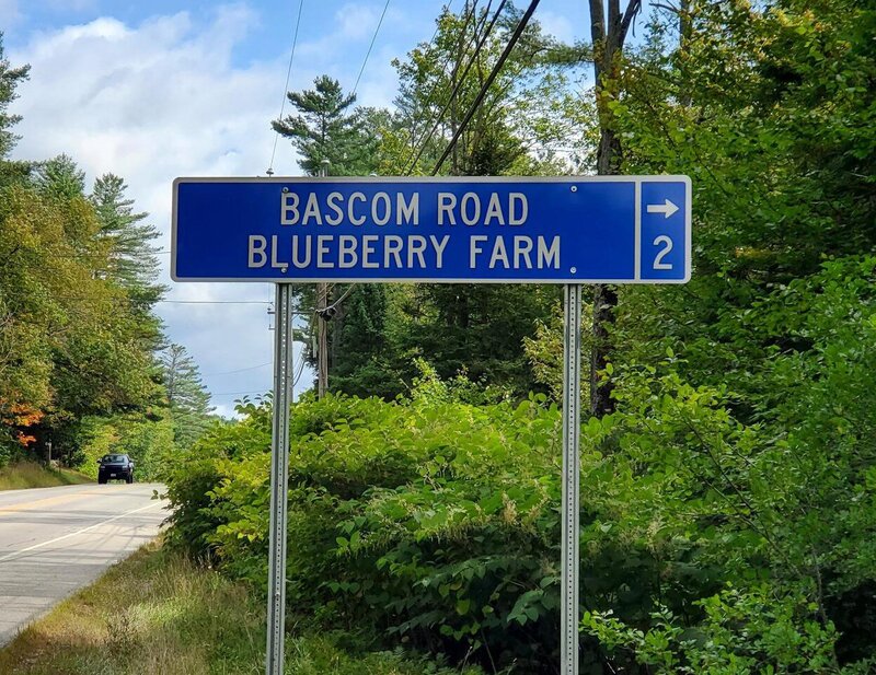Bascom Blueberry Farm blue directions road sign