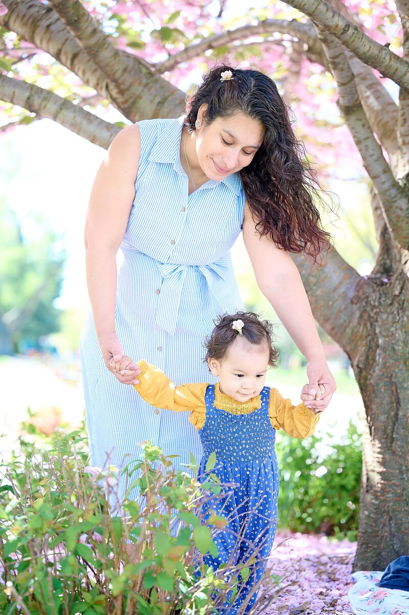 Mother Walking with daughter through Cherry Blossoms