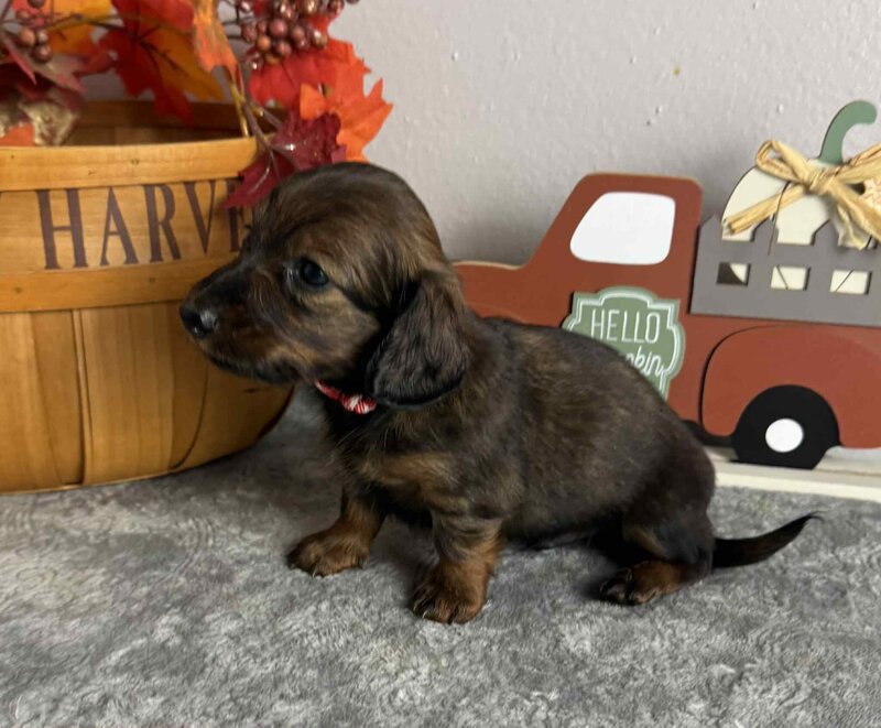 0491456c-bc85-45c6-941e-ef76188cf99d