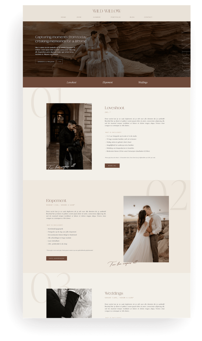 Wild Willow aanbod screenshot