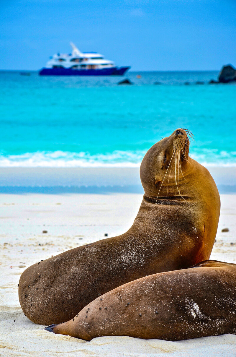 Pax_Expeditions_Luxury_Travel29
