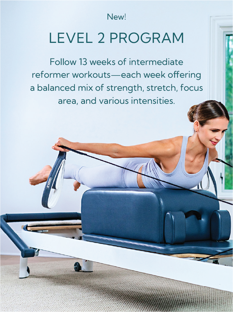 Level 2 program gallery