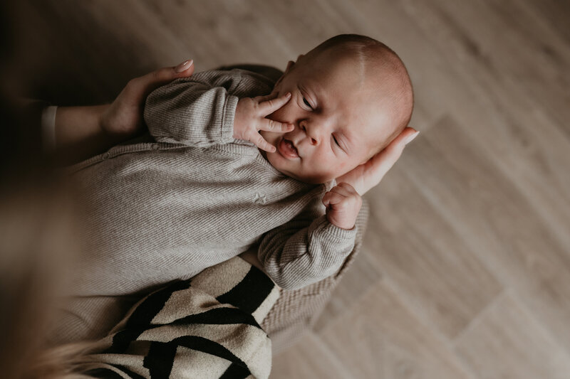 Harris newborn24