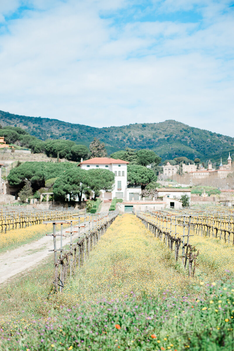 Dallas wedding photography: Carley Ann Photography