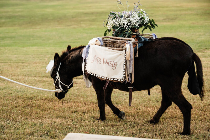 Alabama-Wedding-Photographer-2023-420