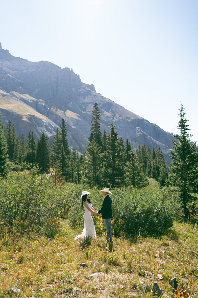 telluride elopement, bride and groom at mt sneffels