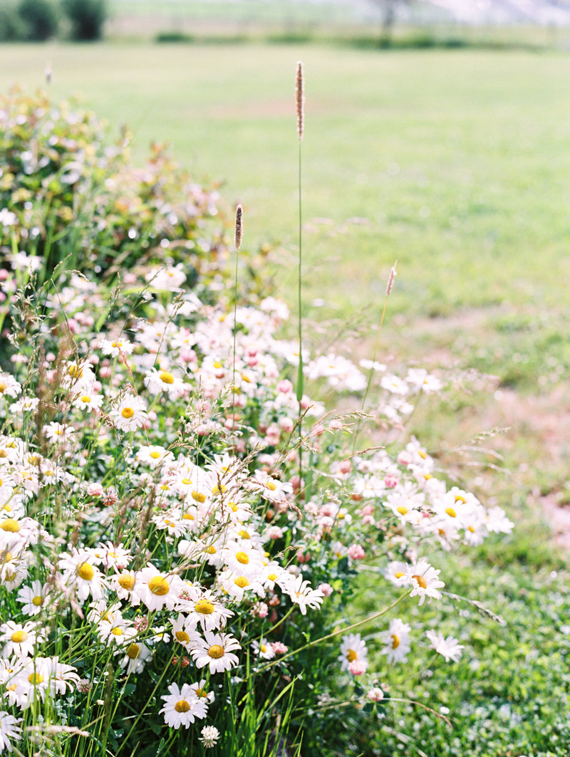 kelseycowley_wedding_kristenandchase-553