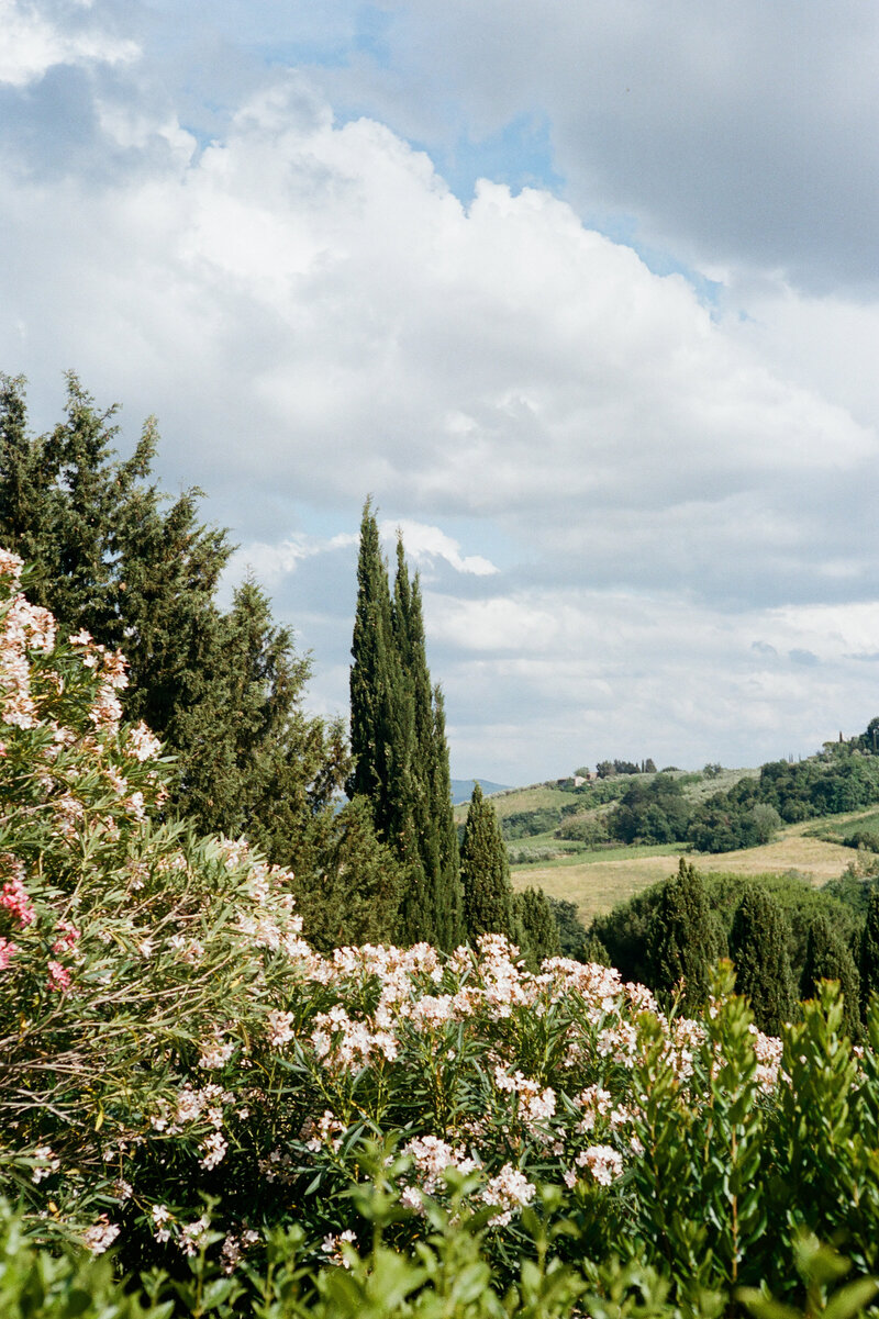 _RachaelReidPhotography_filmexamples-26