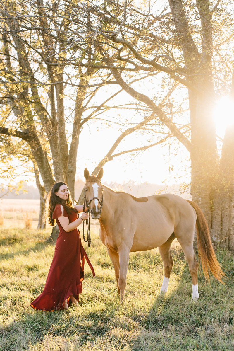 EQUINE PHOTOGRAPHER AIKEN SC HORSES EQUESTRIAN AUGUSTA GA PHOTOGRAPHY AIKEN SOUTH CAROLINA EQUESTRIAN PHOTOGRAPHER EQUINE PHOTOGRAPHY aiken south carolina  horse photography