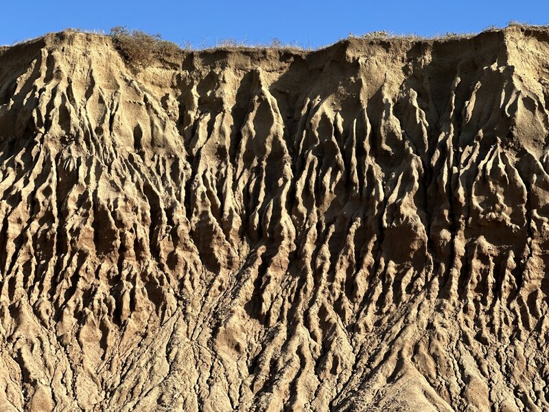 Photo of an eroding cliff in Cabrillo National Monument. The cliff is varying shades of reddish-brown, with a bright blue sky behind. 