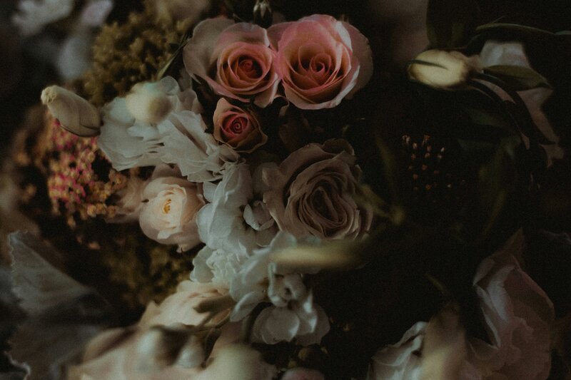 david-tovar-3isLin5OMXU-unsplash