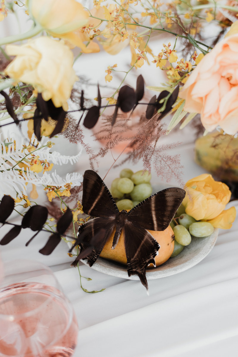 joshuatreeeditorial-142