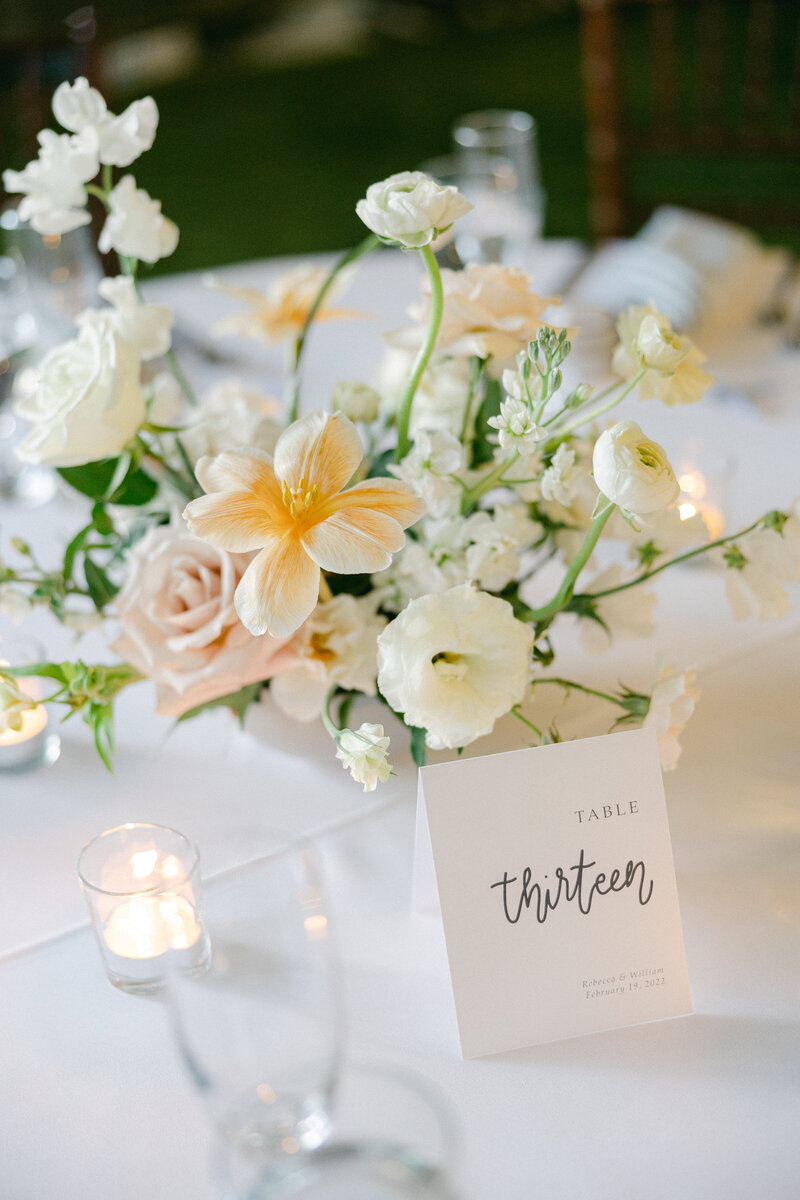 Rebecca_Will_Reception-64