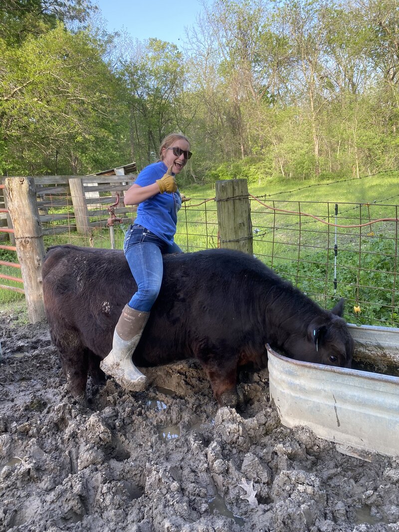 farmer-mounts-horse