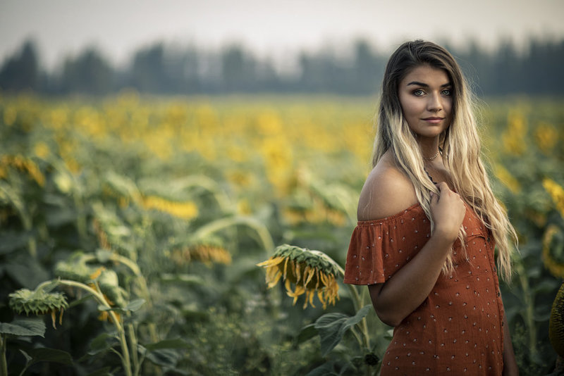 ASHLYN SUNFLOWER 1