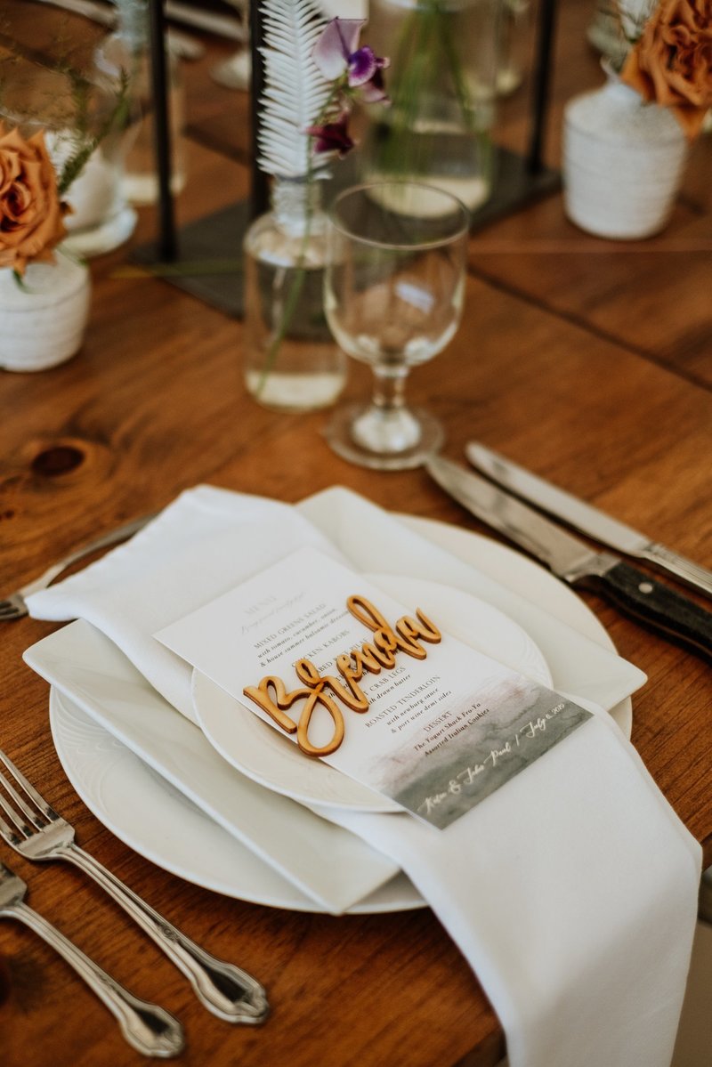 Angola-NY-Lake-Erie-Wedding-summer-event-planner-Shawna-Stanley-photography-8