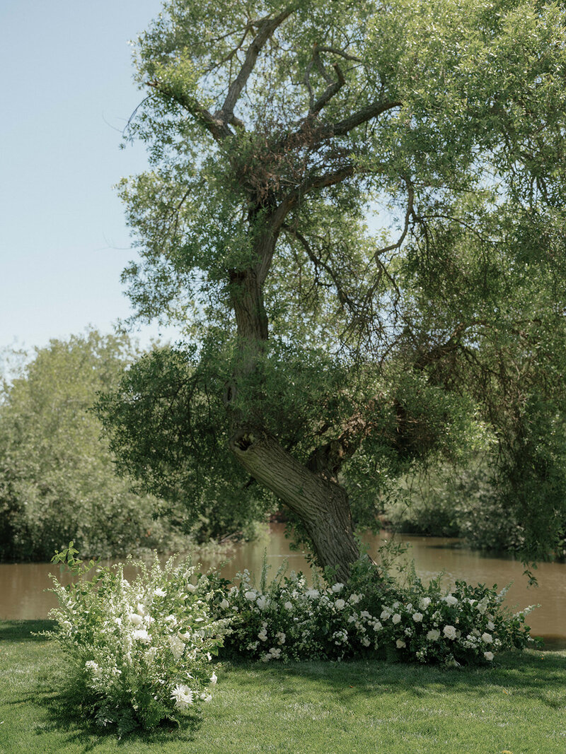 White and Green ceremony grounded arch for a wedding in San Luis Obispo by Precious and Blooming Floral design