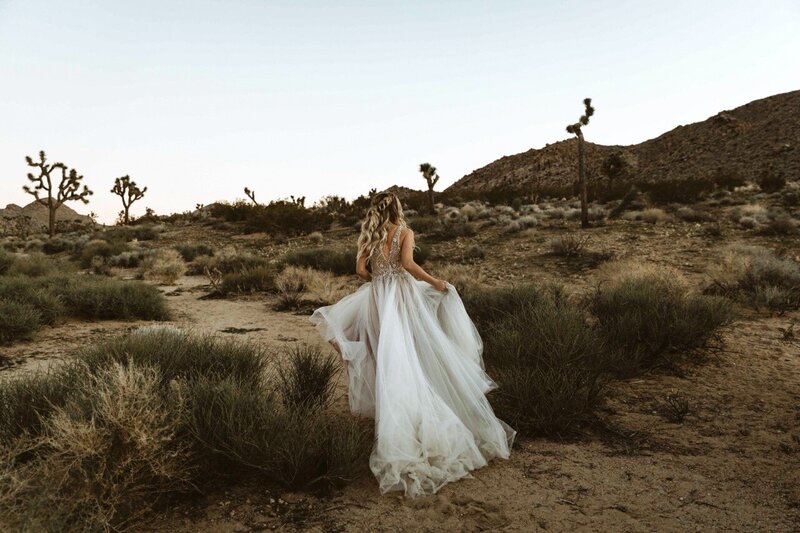 Bride Running In The Desert