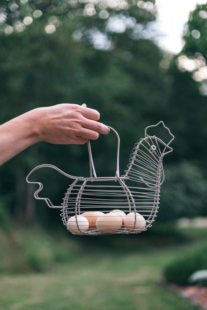 Morgane van Liere_airbnb fotografie bed and breakfast-12