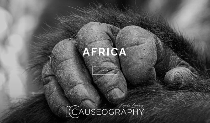 africa_gallery