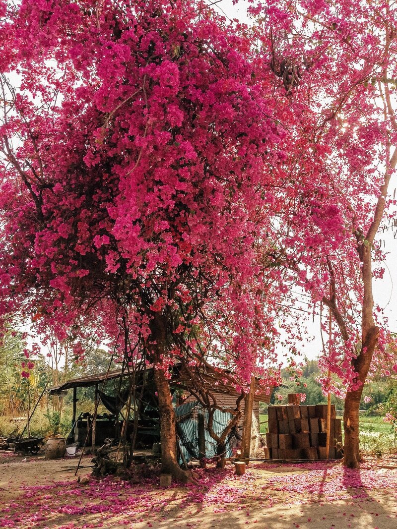 Travel Lifestyle hospitality photographer7