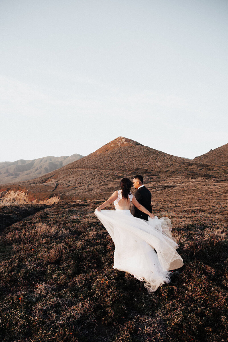 Wind blowing white wedding dress. Bride  walks with groom across weedy pampas grass