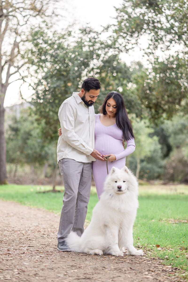 Pregnant couple posing with their pet dog during a maternity photoshoot at an oak grove in San Jose
