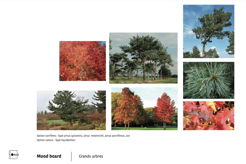 horus-paysages-architecte-paysagiste-etude-4