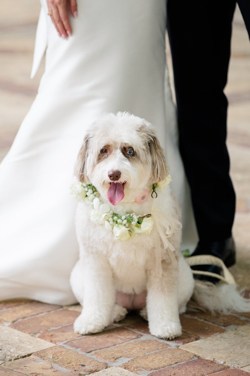 Palm-Beach-Wedding-Photographer-167