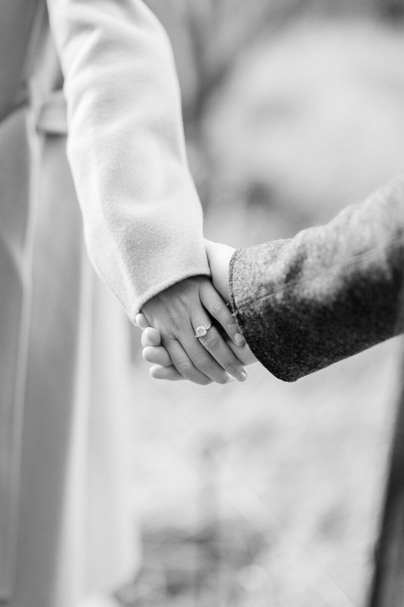 holding-hands-manhattan-engagement-session