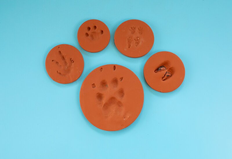 A large paw print made from smaller clay paw prints, symbolizing eco-friendly pet memorials offered by Nature's Way Pet Aquamation to honor beloved companions.