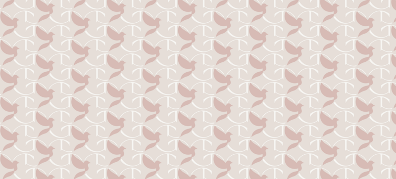 Custom repeating pattern featuring the Gaby & Grace dove icon and stylized ampersand, designed in soft rose and lace tones for use across packaging and print.