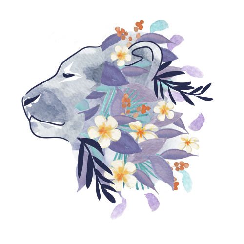 logo-fleurs-de-lion-illustration
